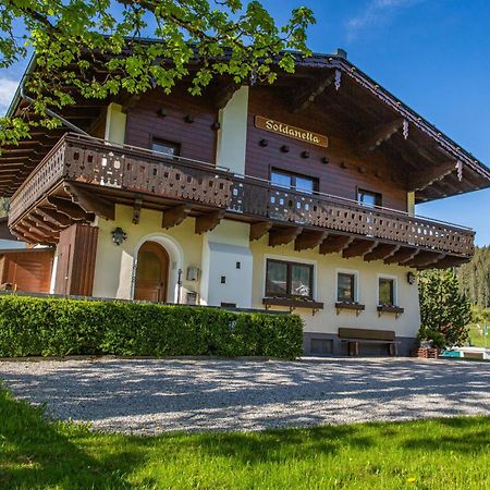 Soldanella 6 By Alpenidyll Apartments Ramsau am Dachstein Εξωτερικό φωτογραφία
